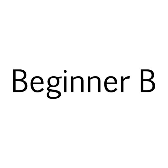 Beginner B